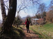 70 Casetta con altssimo faggio secolare